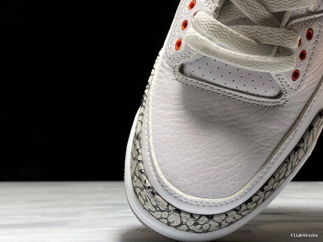 3 of Fame Hall 136064-116 Retro Jordan Air 1110